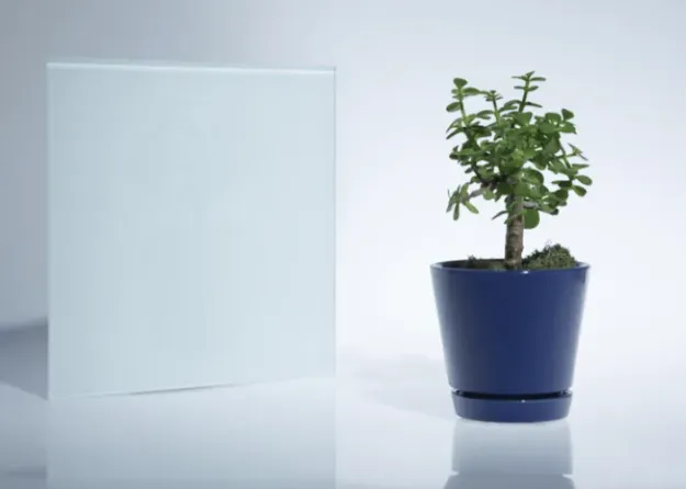 White Back Painted Glass (1).png
